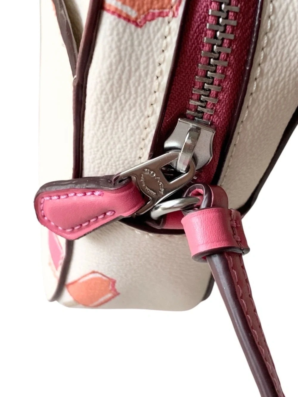 Coach Camera Bag Popsicle Print New